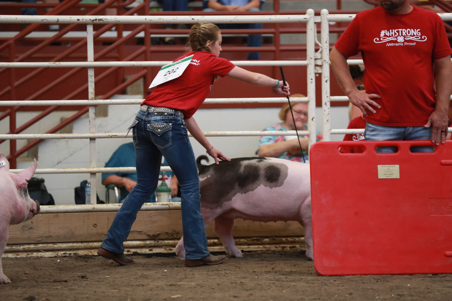 071119_HallCoFair54_bjs.JPG